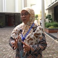 Bu wulan